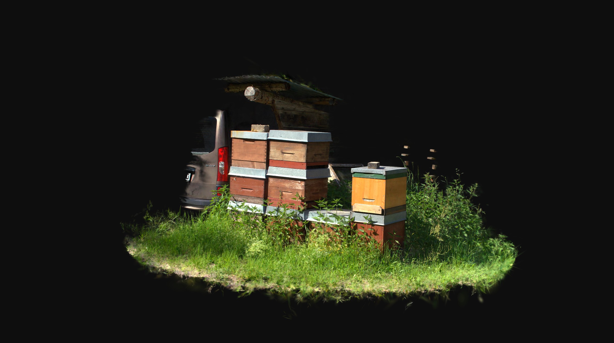 Beehives