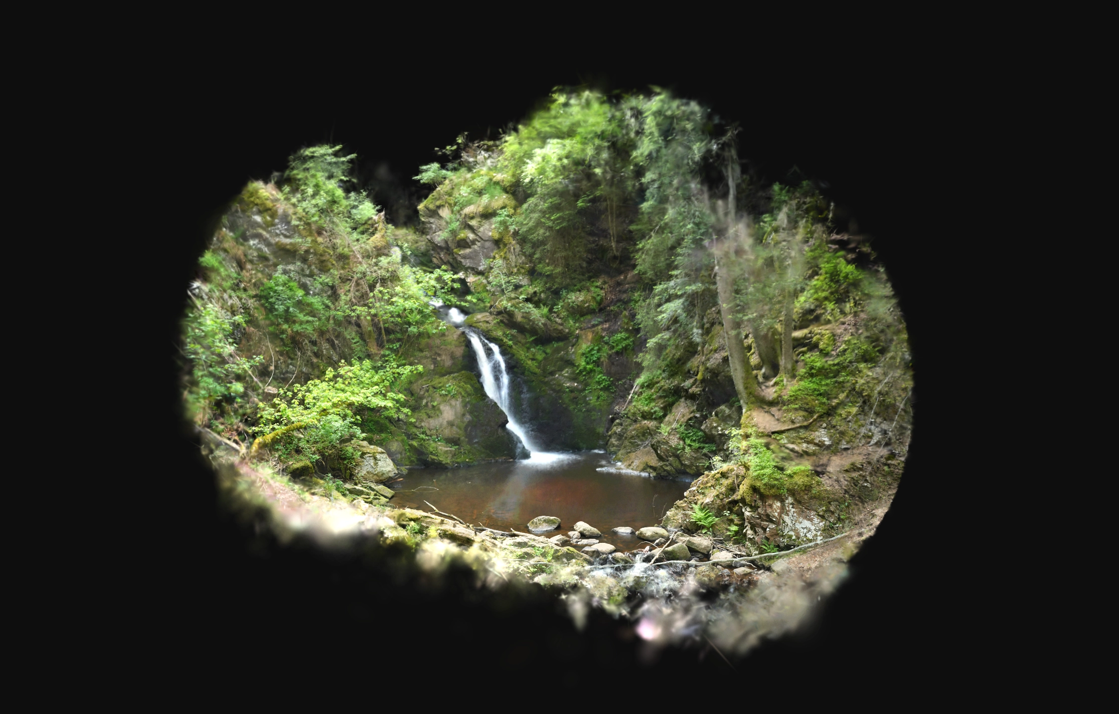 Falkau Wasserfall