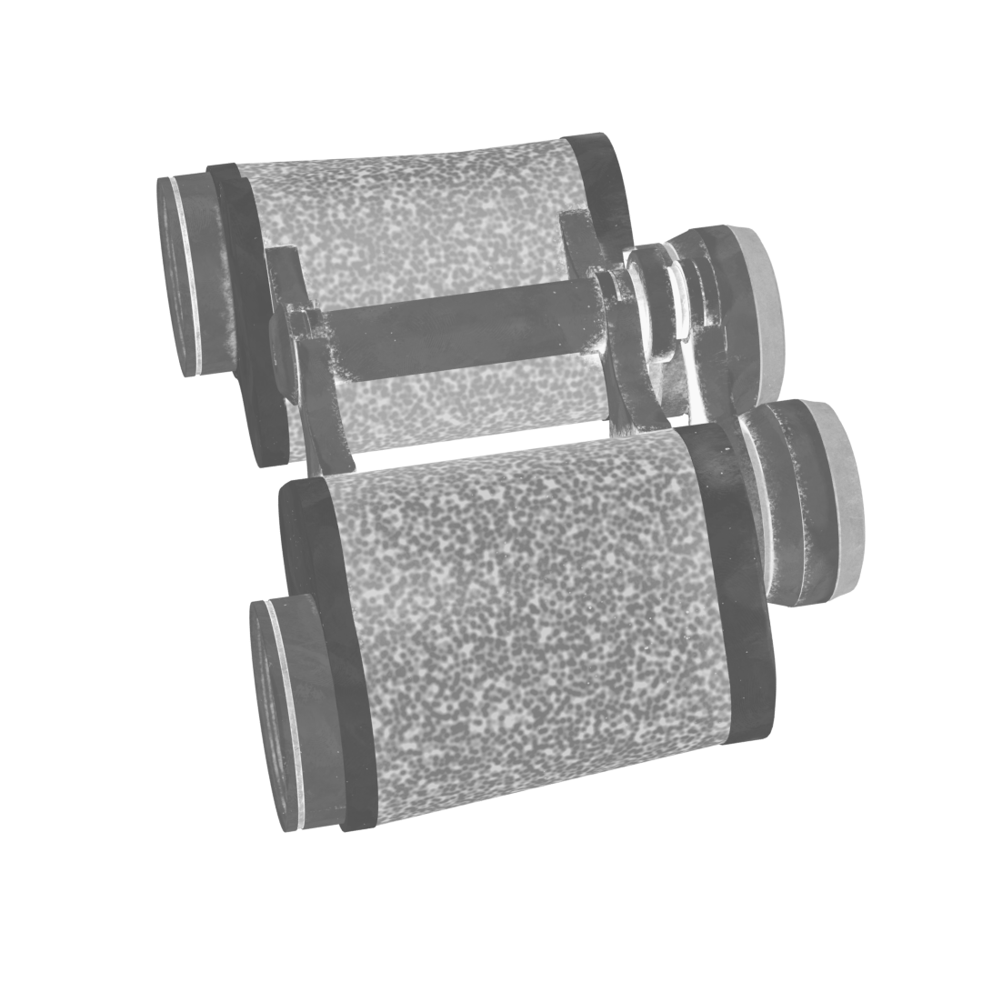 Roughness render of the binoculars