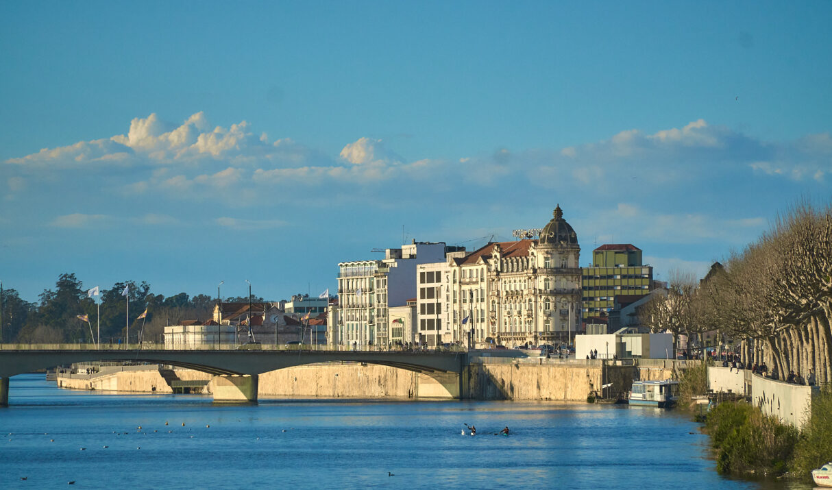Coimbra Golden 02
