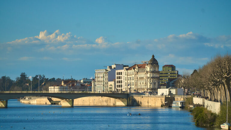 Coimbra Golden 02