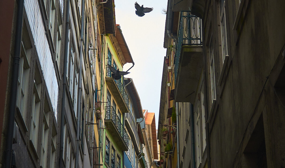 Porto 01